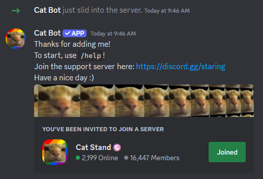 catbotjoins.png