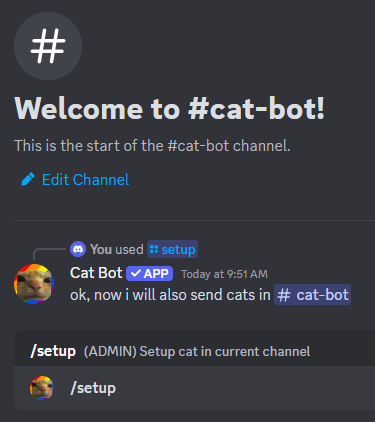 settingupcatbot.png