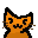 baby_cat.webp