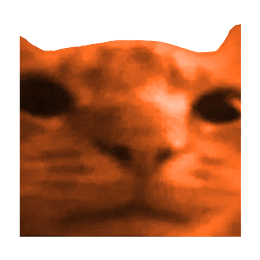 nice_cat_spawn.webp