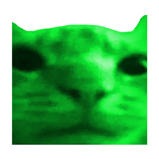 ourbceobcec.webp