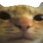 /real_old.png
