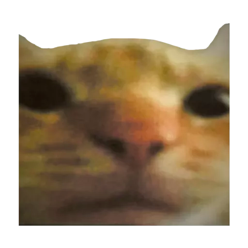 real_spawn.png