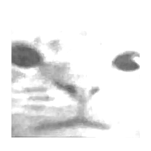ultimate_spawn.png