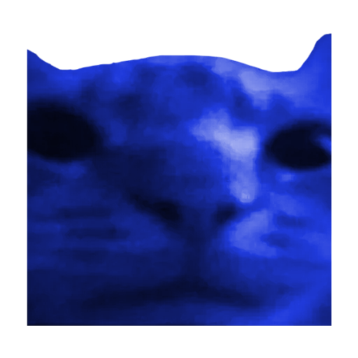 wild_stare.webp